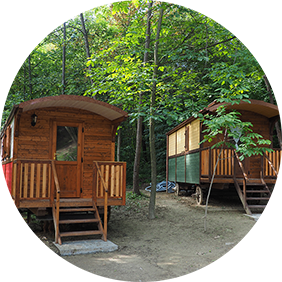 GLAMPING AREA - The Gypsy Site